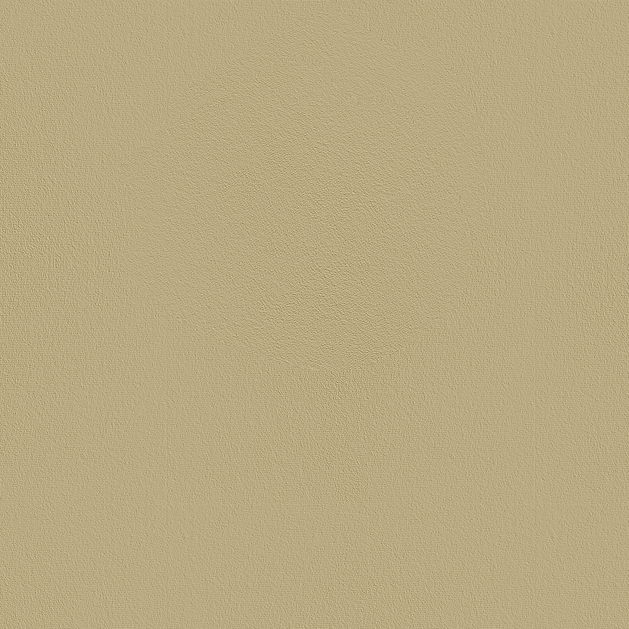 Carpet color - Beige