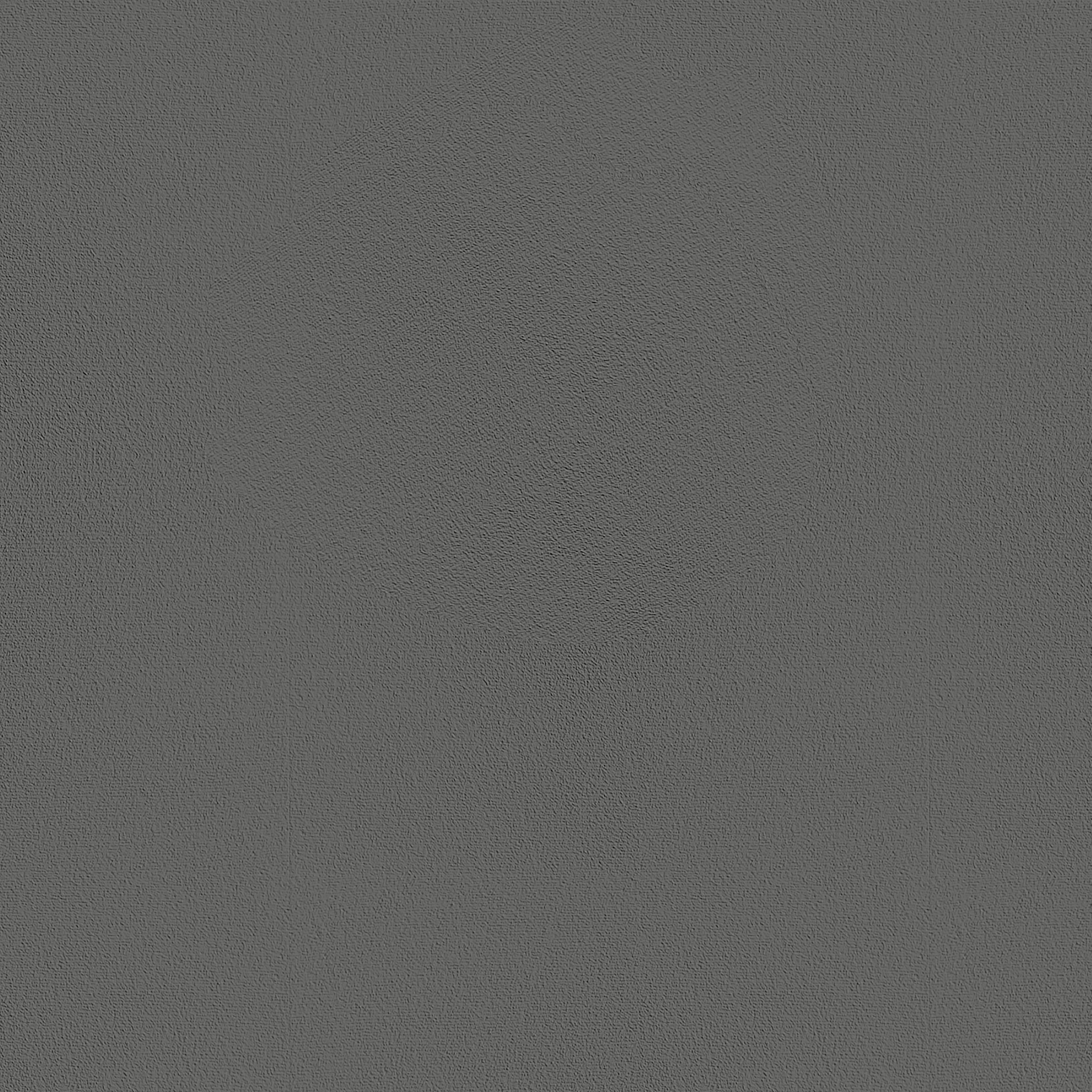 Carpet color - Gray