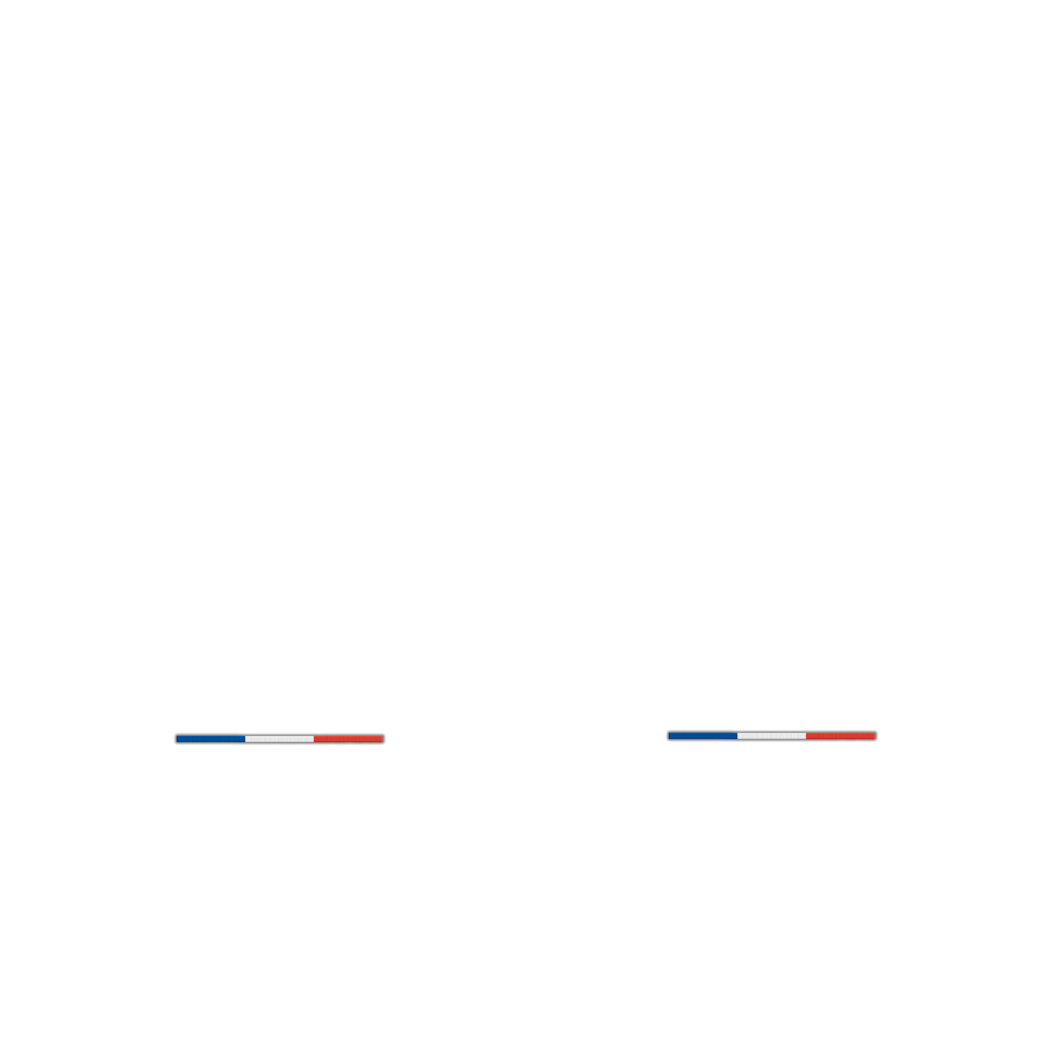 France Flag (Horizontal)