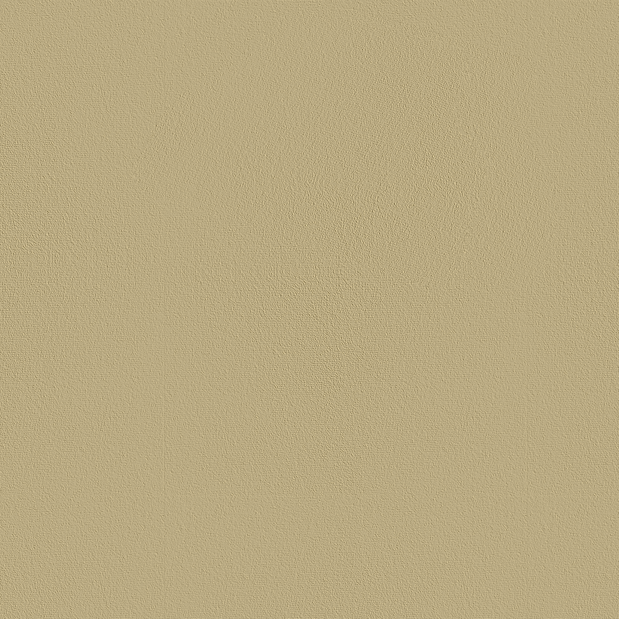 Carpet color - Beige