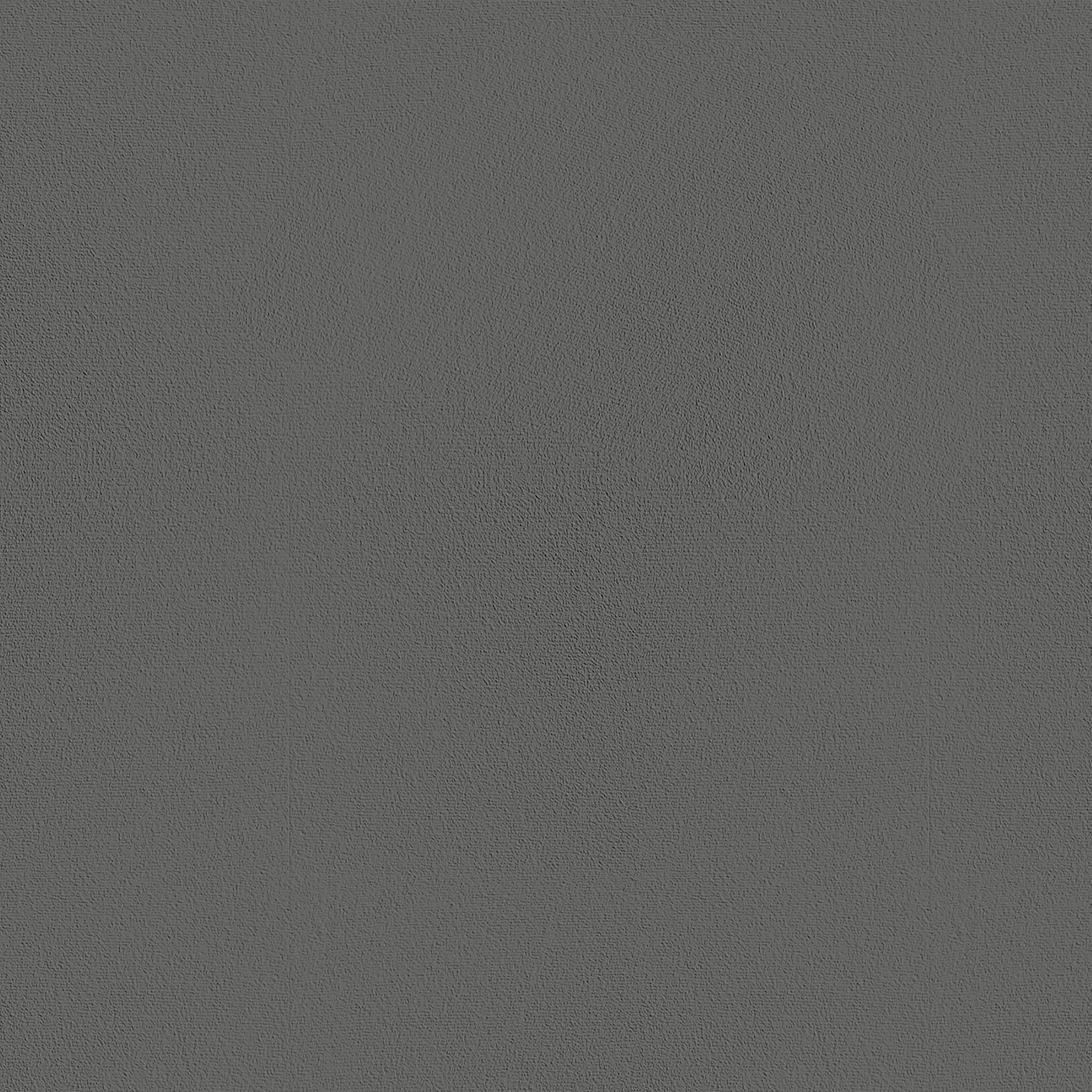 Carpet color - Gray