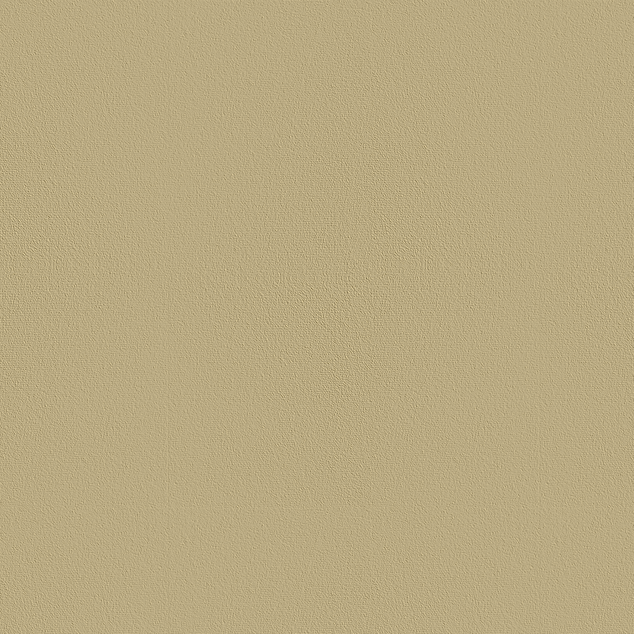 Carpet color - Beige