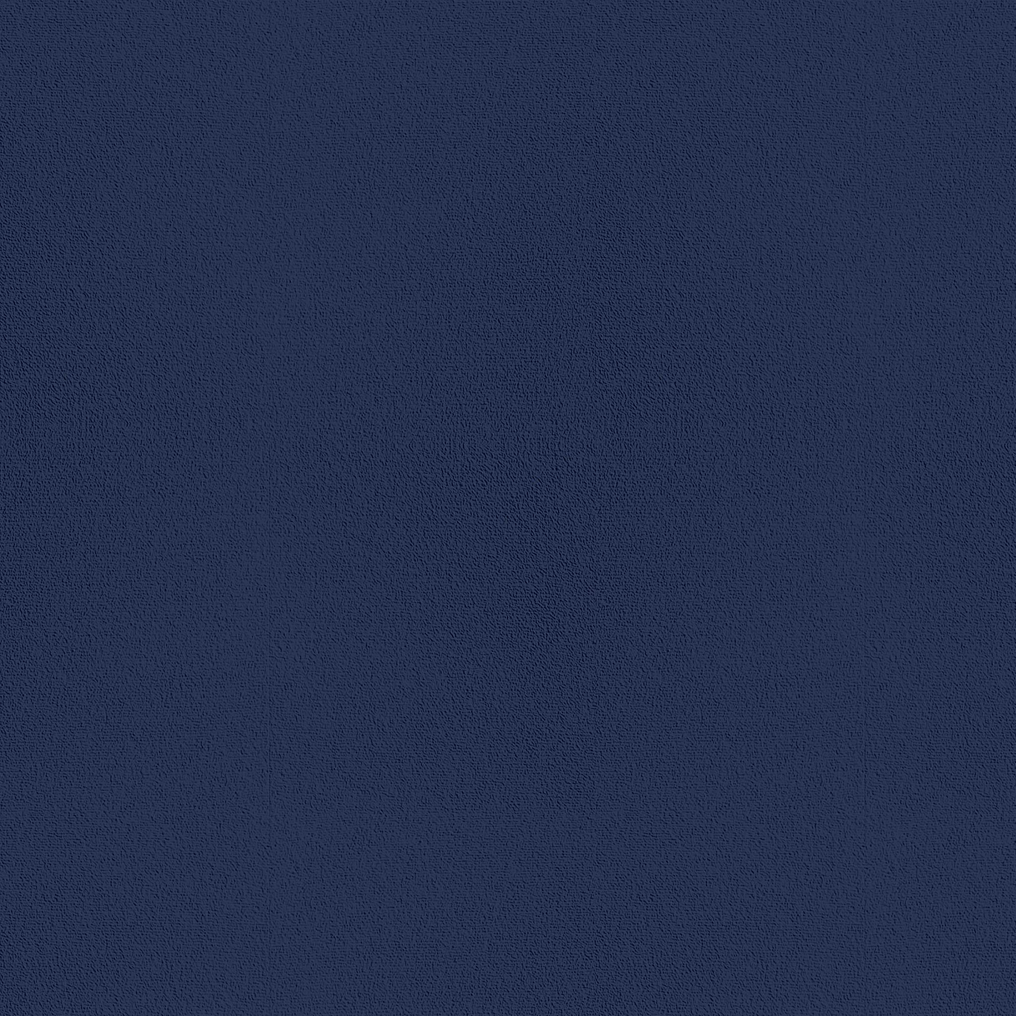 Carpet color - Dark Blue