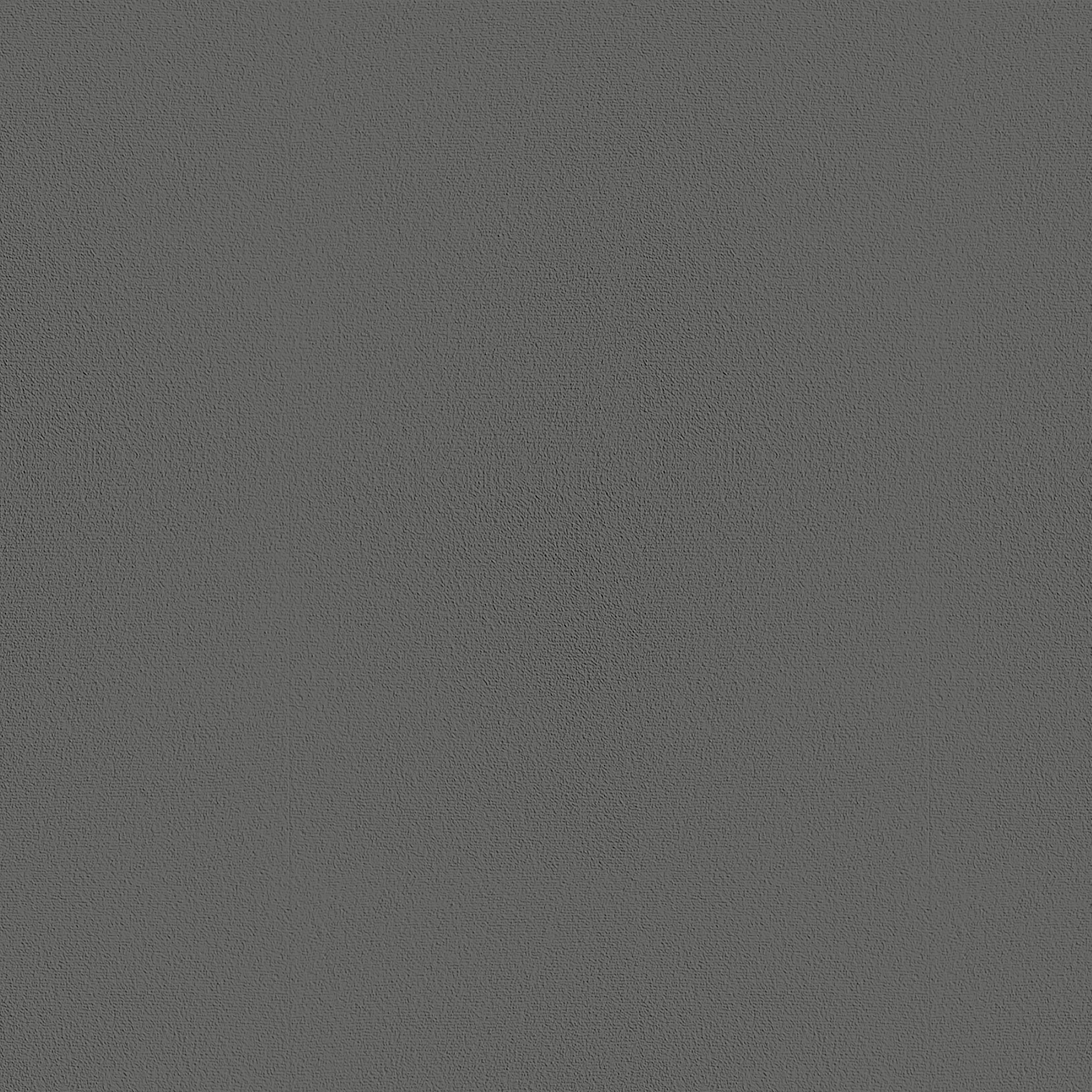 Carpet color - Gray