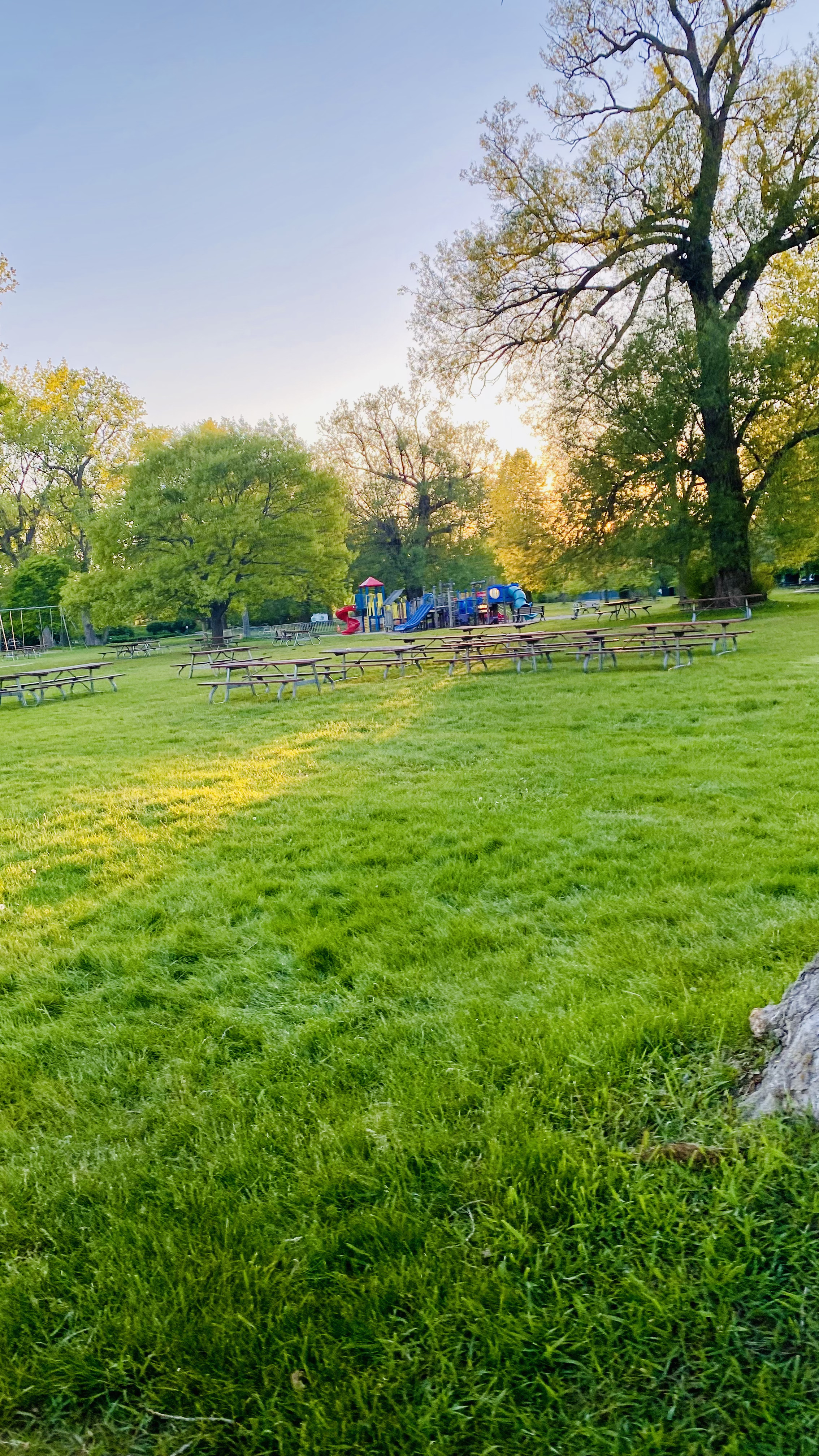 Picnic en Toronto Island