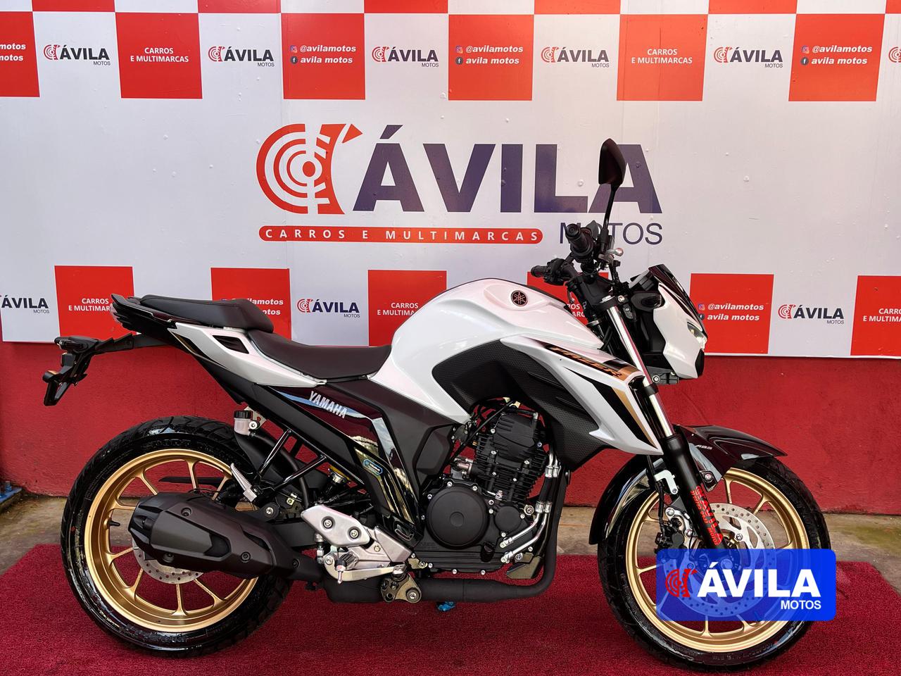 FZ25 250 FAZER FLEX