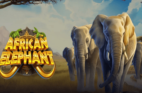 african-elephant-pragmatic-play-jeu