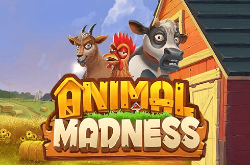 animal-madness-play-n-go-jeu