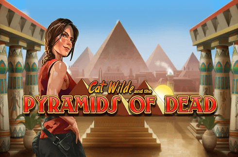 cat-wilde-and-the-pyramids-of-dead-play-n-go-jeu