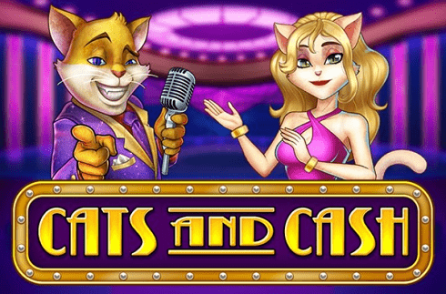 cats-and-cash-play-n-go-jeu