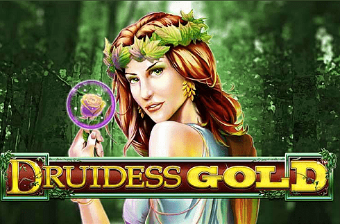 druidess-gold-lightning-box-games-jeu