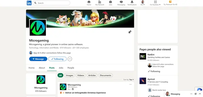 microgaming-linkedin