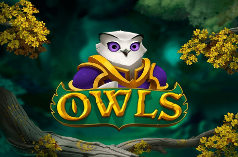 owls-nolimit-city-jeu