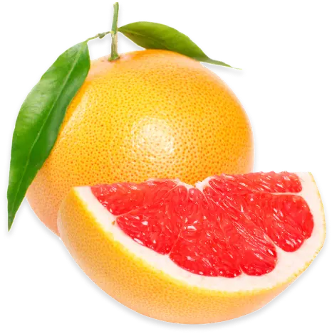 자몽