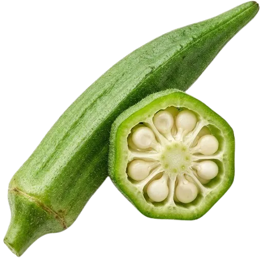 오크라