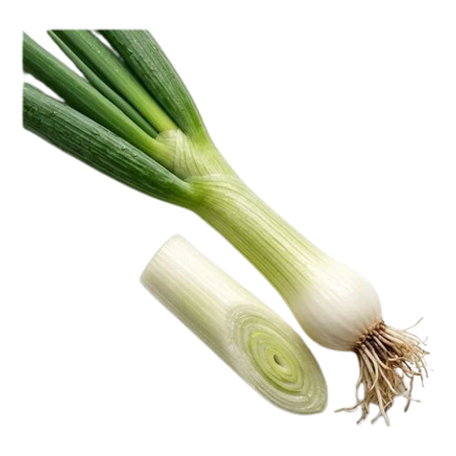 쪽파