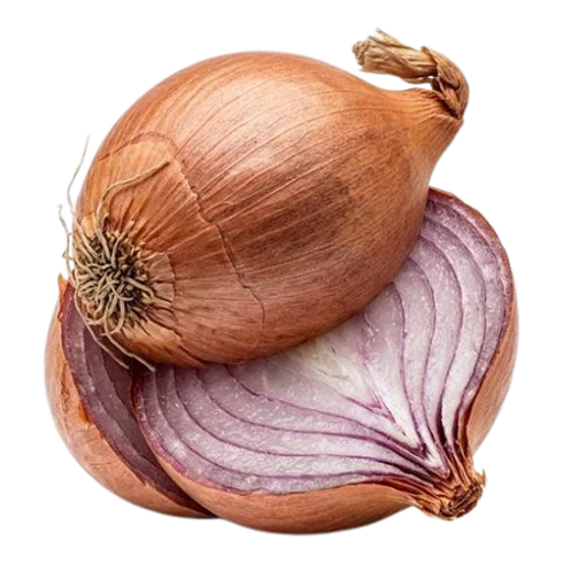 샬롯