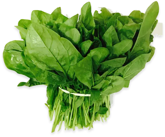 시금치