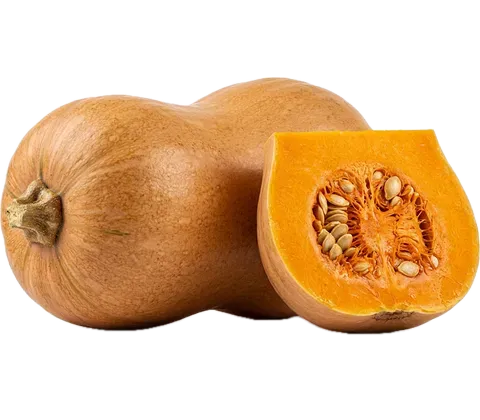 호박