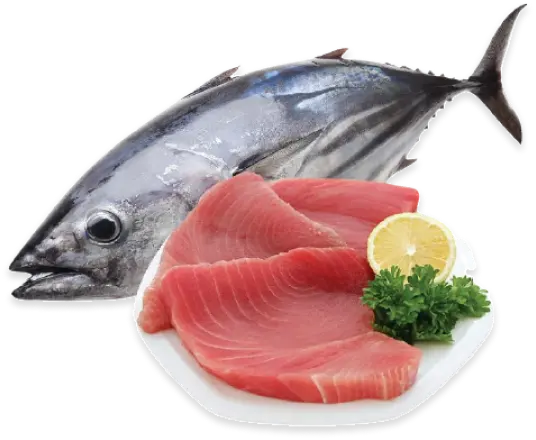 참치