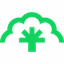 Ceiba