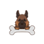 DogzApp