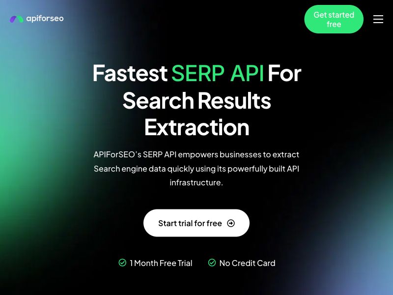ApiForSeo Screenshot