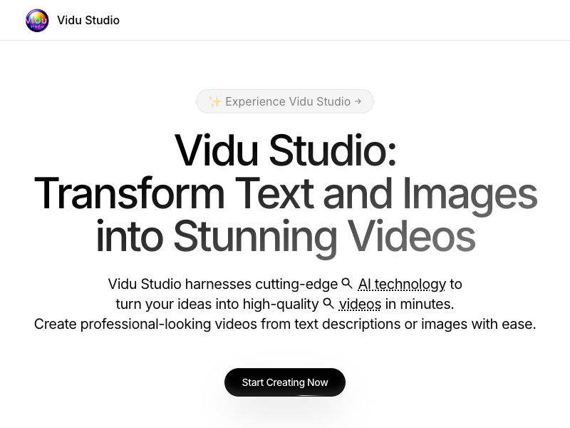 Vidu Studio