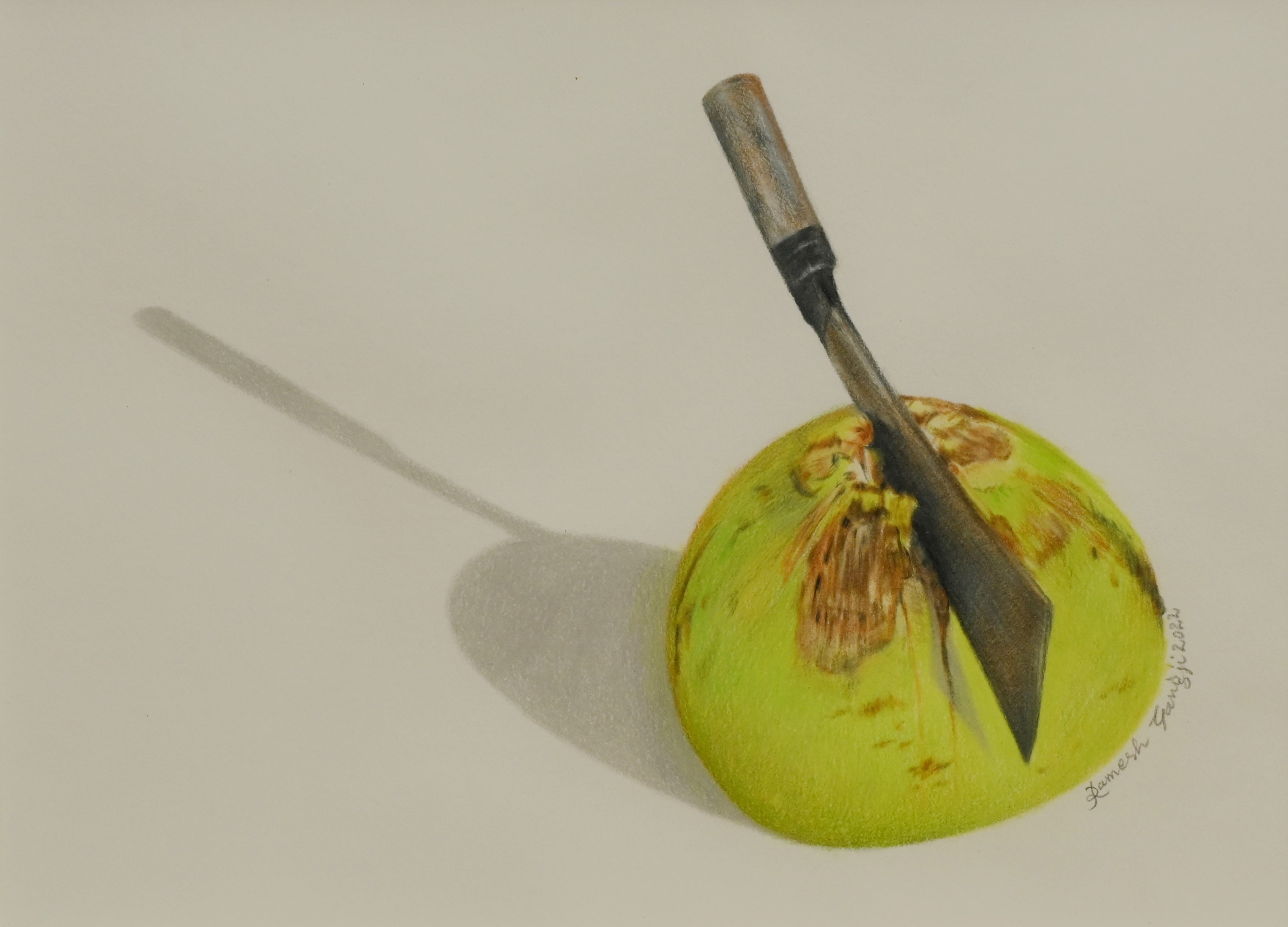 Coconut