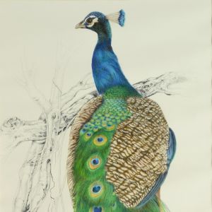 Sweta Siddhesh Kotavadekar's Painting