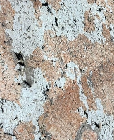 Alaska Pink (High Grade Granite) Polished