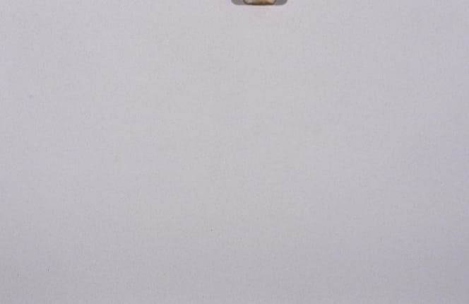 Fuji White (High Grade Quartz) Polished