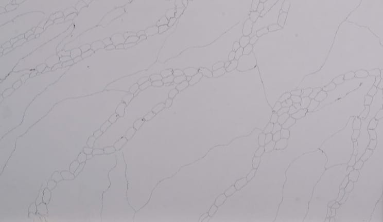 Bishop Rock (High Grade Quartz) Polished