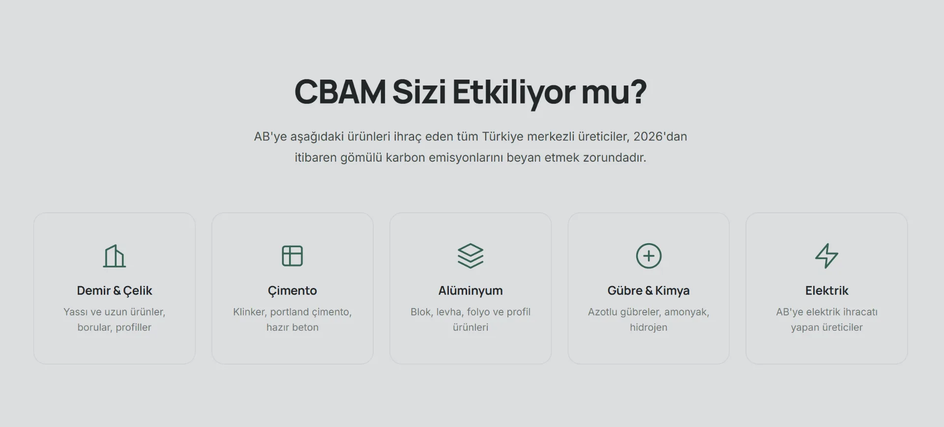 Sınırda Karbon Düzenleme Mekanizması Türk sanayicisi