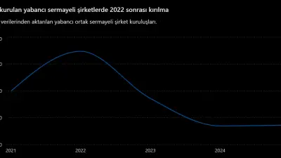 Yabancı Sermaye Türkiye’de Büyürken Yerli Üretici Neden Sıkışıyor?