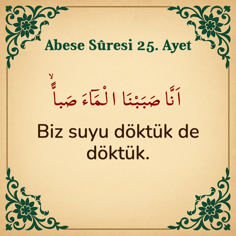 Abese Suresi 25. Ayet Arapça ve Türkçe meali