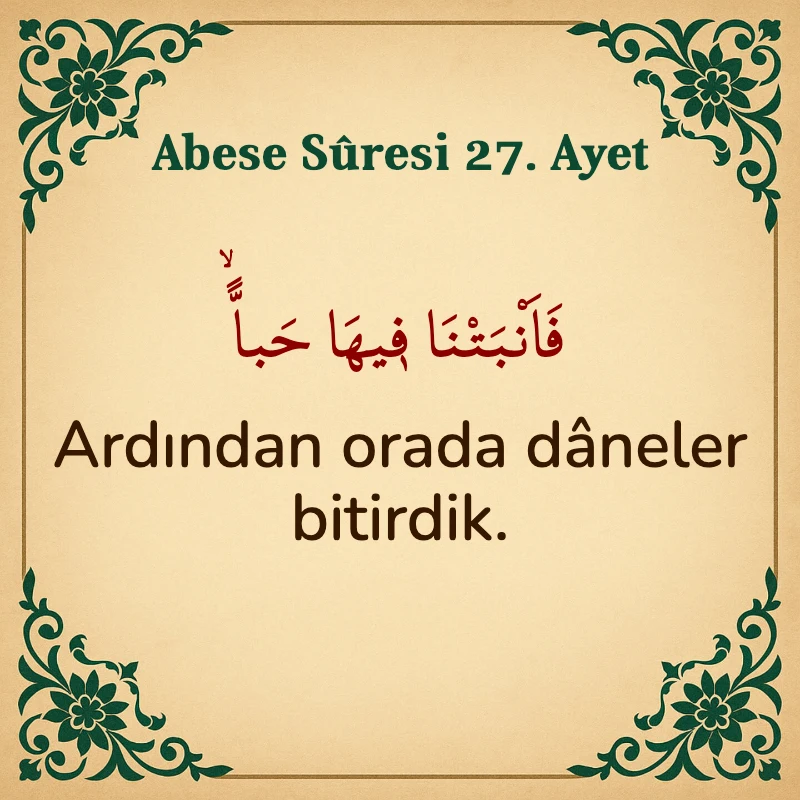 Abese Suresi 27. Ayet Arapça ve Türkçe meali