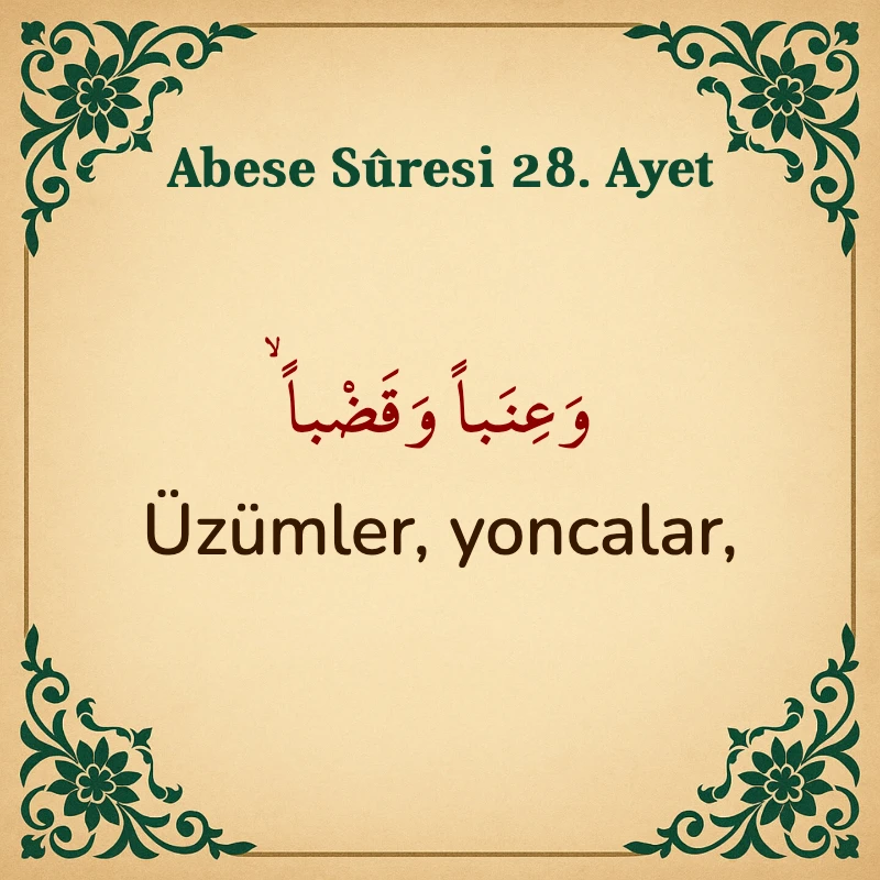 Abese Suresi 28. Ayet Arapça ve Türkçe meali