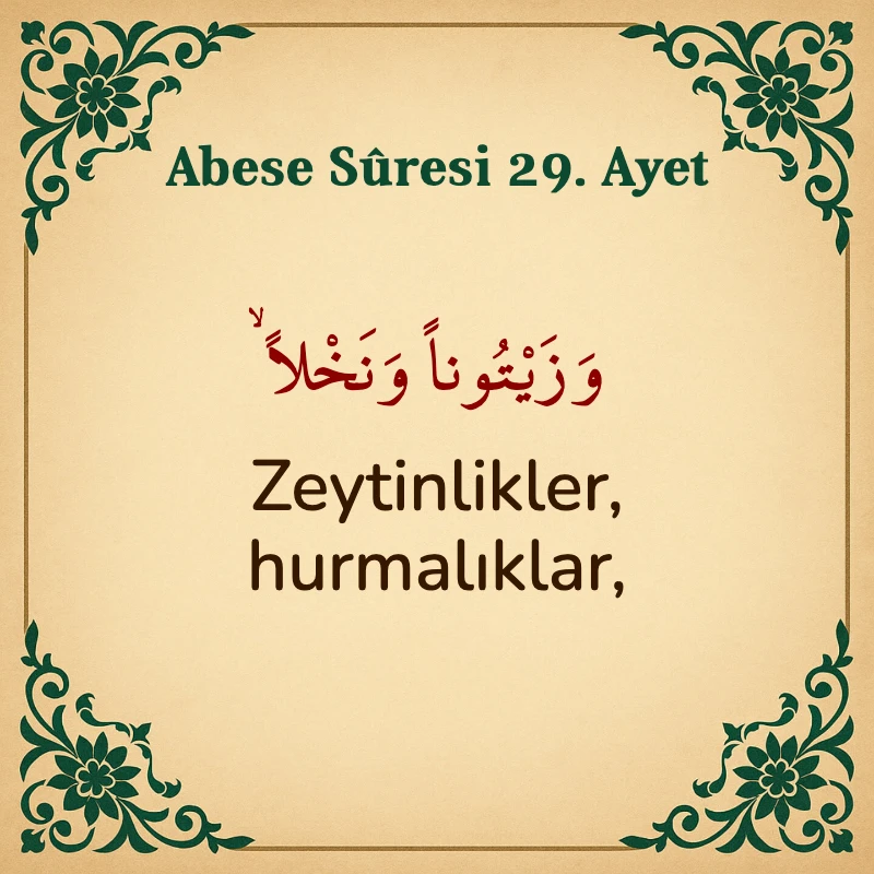 Abese Suresi 29. Ayet Arapça ve Türkçe meali