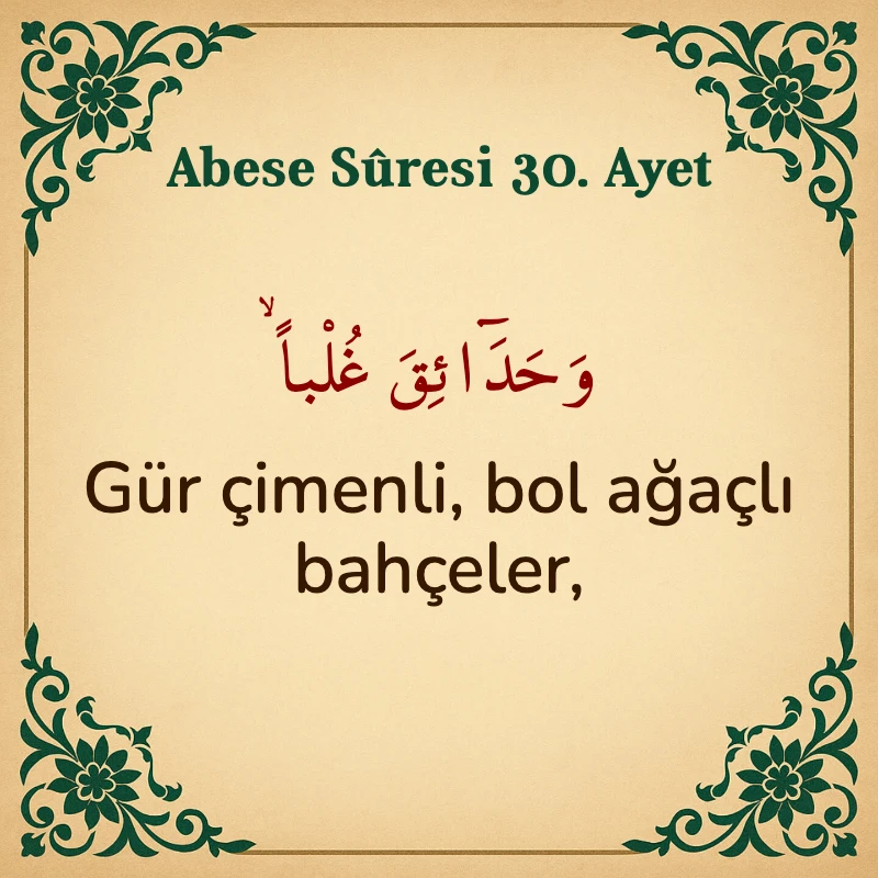 Abese Suresi 30. Ayet Arapça ve Türkçe meali