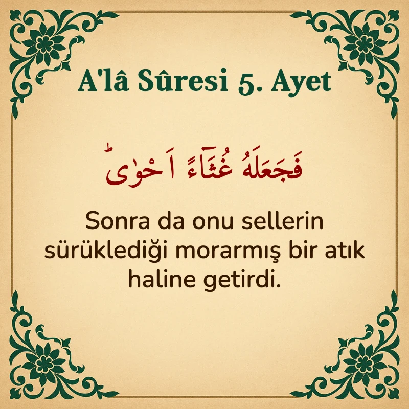 Ala Suresi 5. Ayet Arapça ve Türkçe meali