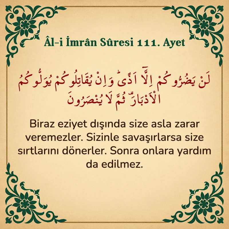 Âl-i İmrân Sûresi 111. Ayet  Arapça ve Türkçe meali