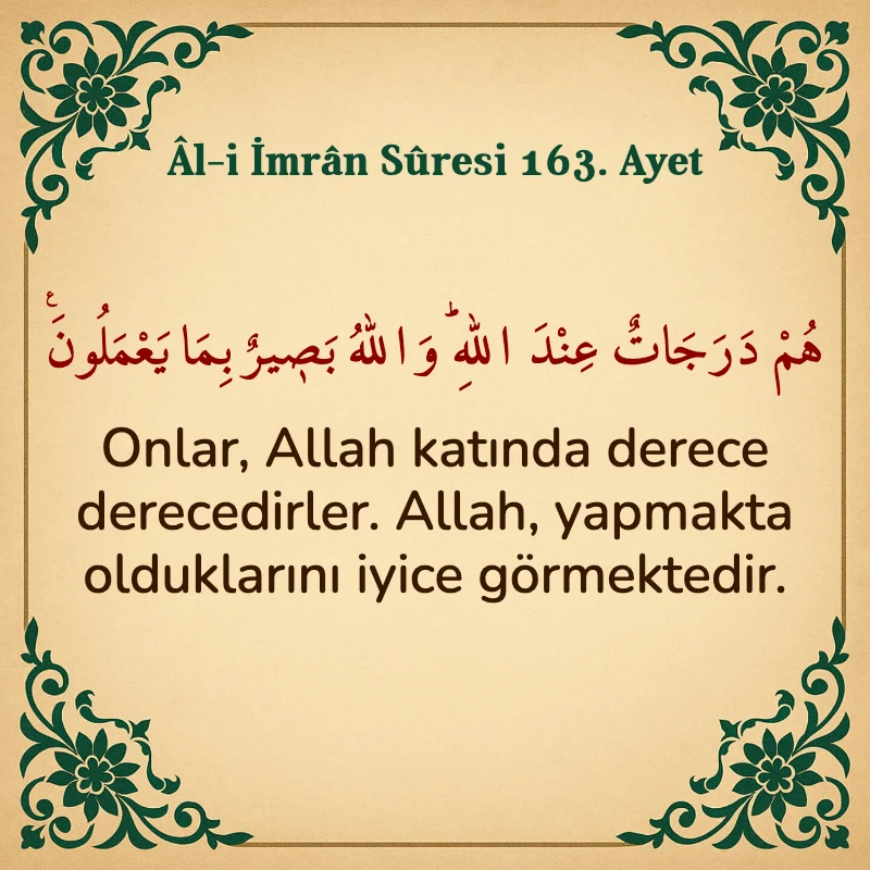 Âl-i İmrân Sûresi 163. Ayet Arapça ve Türkçe meali