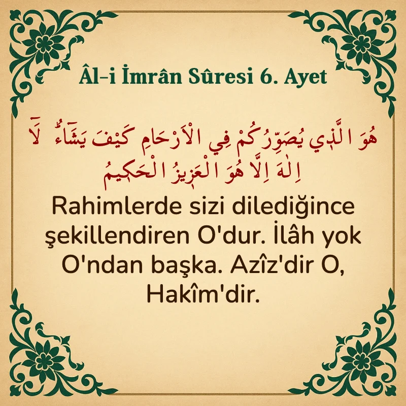 Âl-i İmrân Sûresi 6. Ayet  Arapça ve Türkçe meali