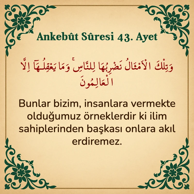 Ankebut Suresi 43. Ayet Arapça ve Türkçe meali