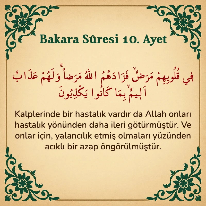 Bakara Suresi 10. Ayet Arapça ve Türkçe meali