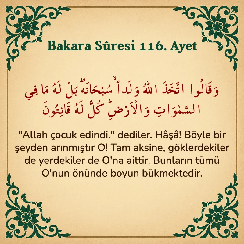 Bakara Suresi 116. Ayet  Arapça ve Türkçe meali