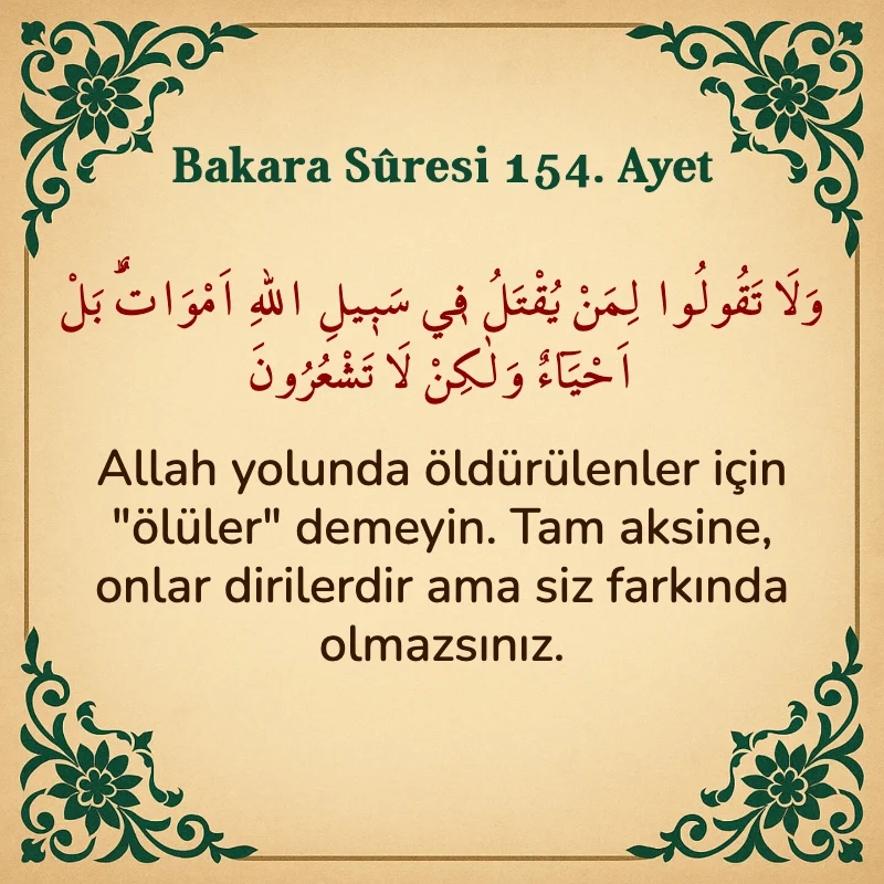 Bakara Suresi 154. Ayet  Arapça ve Türkçe meali