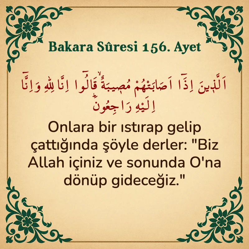 Bakara Suresi 156. Ayet Arapça ve Türkçe meali