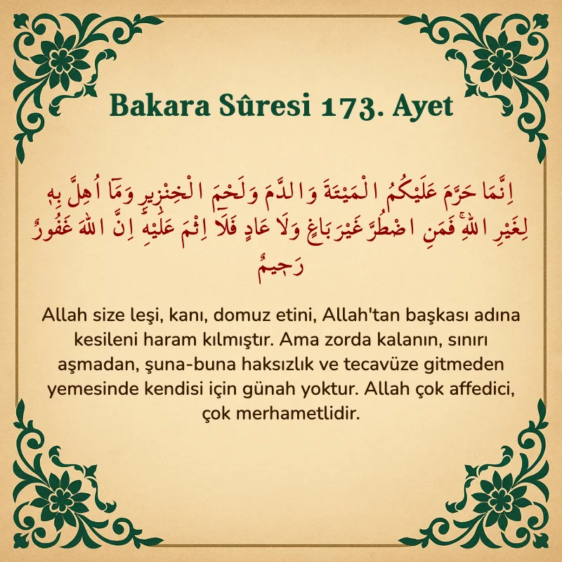 Bakara Suresi 173. Ayet Arapça ve Türkçe meali